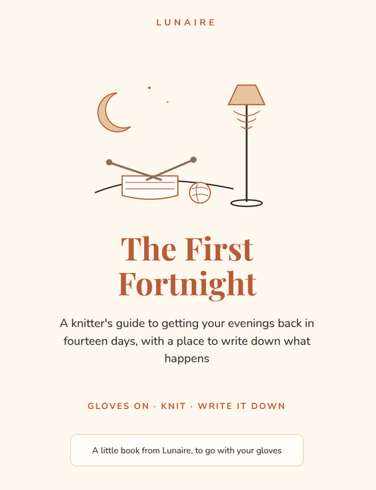 The First Fortnight (14-day plan + row log)